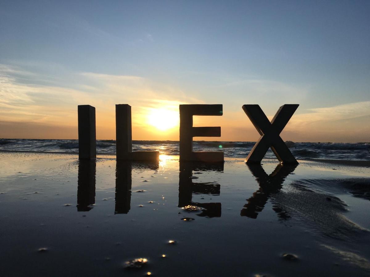 Ilex Appartements Борн Екстериор снимка
